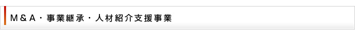 M＆A・事業継承・人材紹介支援事業